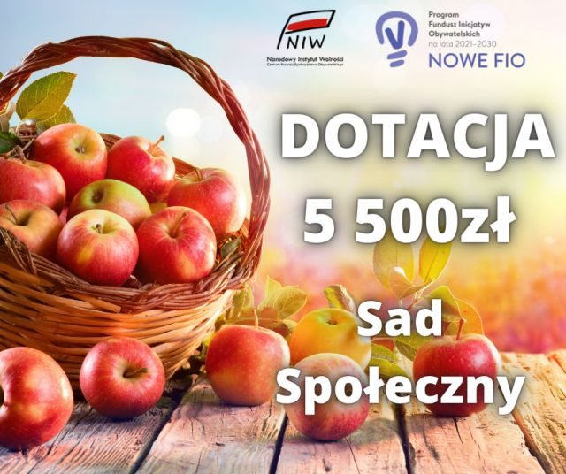 Kolejna dotacja dla AŁNY. FUNDUSZ INICJATYW OBYWATELSKICH